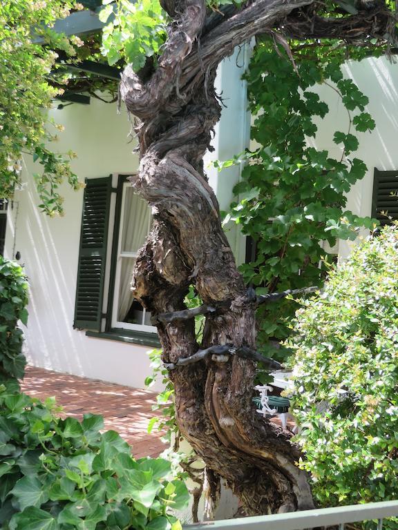 Buiten Verwagten Guest House Graaff-Reinet Dış mekan fotoğraf